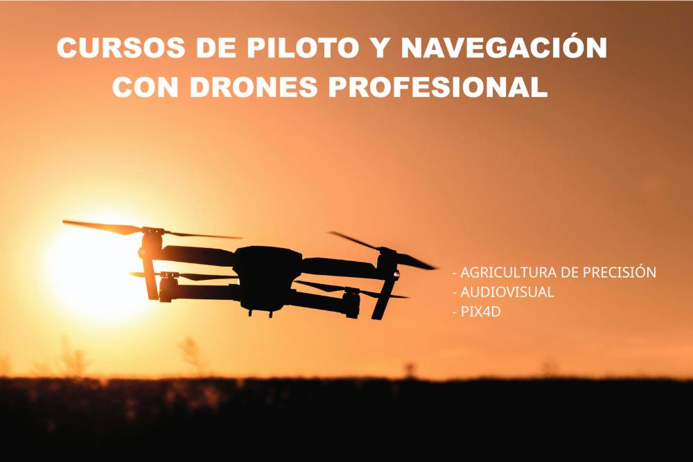 Imagen Curso Profesional de Piloto de Drones en Inspecciones Técnicas y Certificación Pix4D
